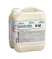 Thermodur Satina 5L KIEHL | Finition Parfaite