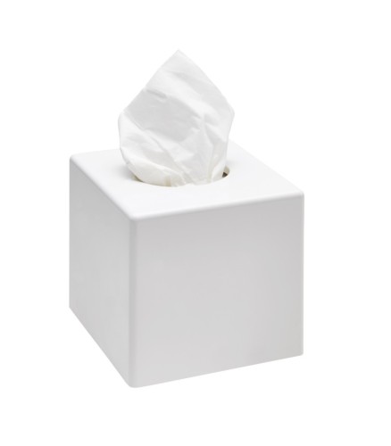 Sanibox Blanc Higyénique | Pratique et Prix Bas